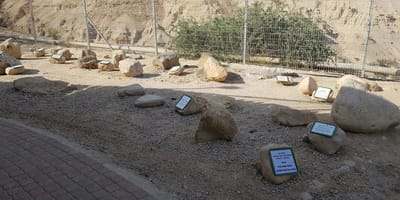 הגן הבוטני של קיבוץ עין-גדי