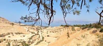 פינת הזיכרון בעין-גדי, יוני 2025